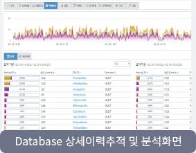 Database 상세이력추적 및 분석화면