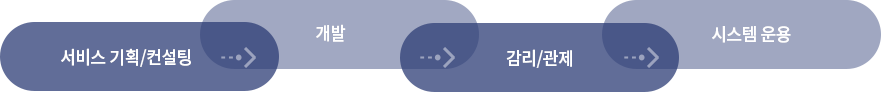 서비스기획/컨설팅, 개발, 감리/관제, 시스템운용